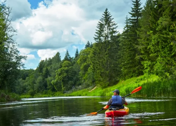 Niezapomniane przygody