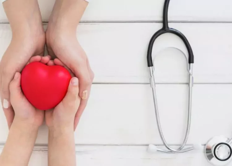 Ostateczny przewodnik